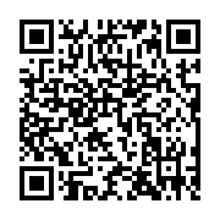 QR code for QT313