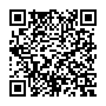 QR code for QT95