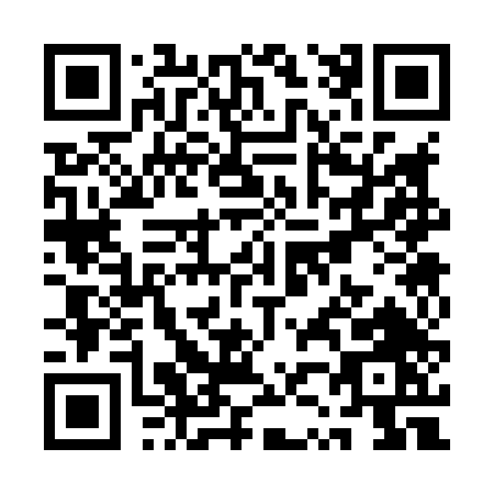 QR code for QZ384