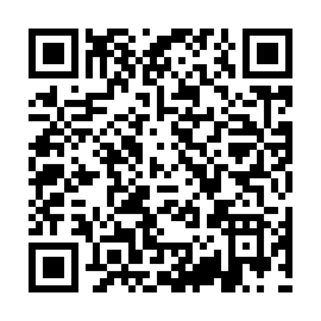 QR code for QZ992