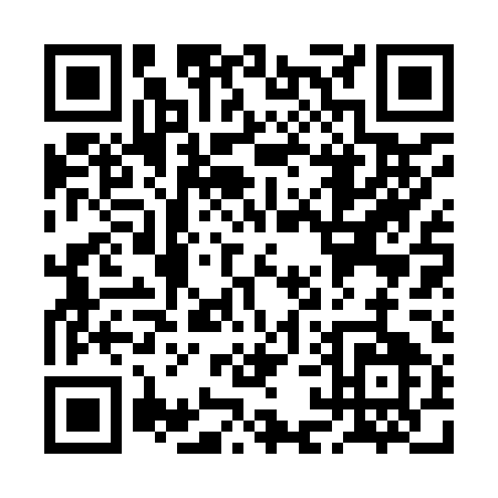QR code for RA295