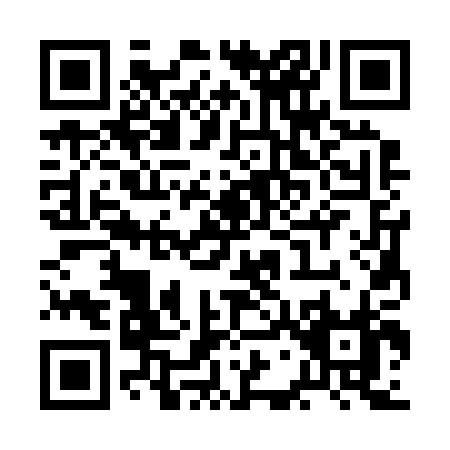 QR code for RG320