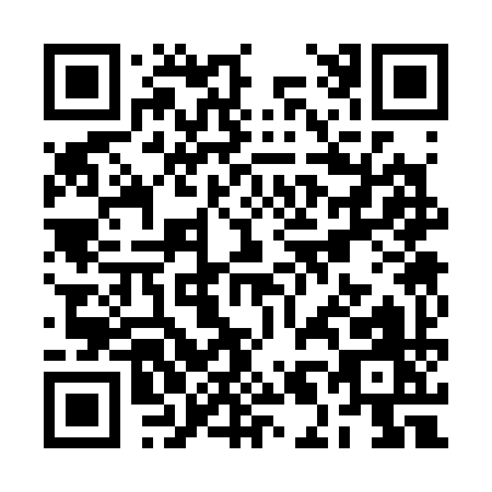 QR code for RL339