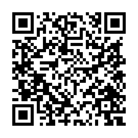 QR code for RR384