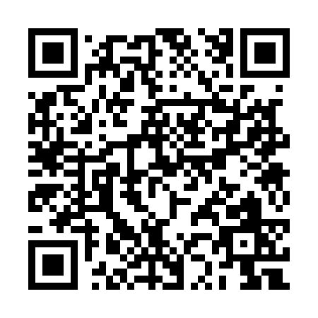 QR code for RZ313