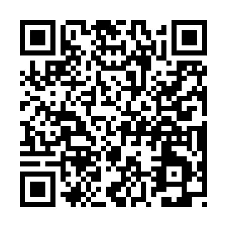 QR code for RZ385
