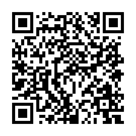 QR code for RZ951