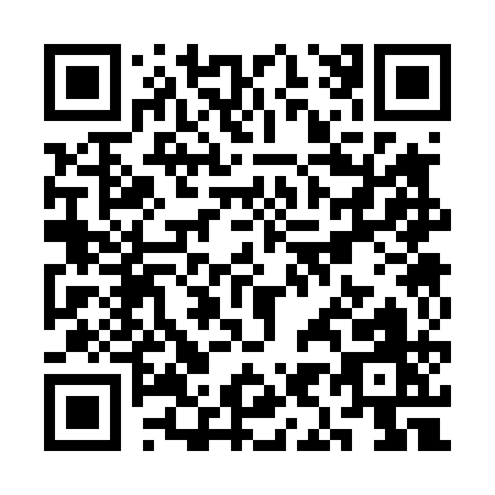 QR code for SI341