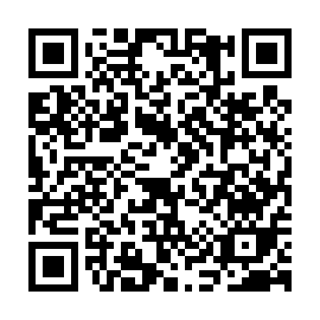 QR code for SI541