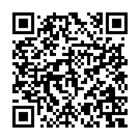 QR code for SM313