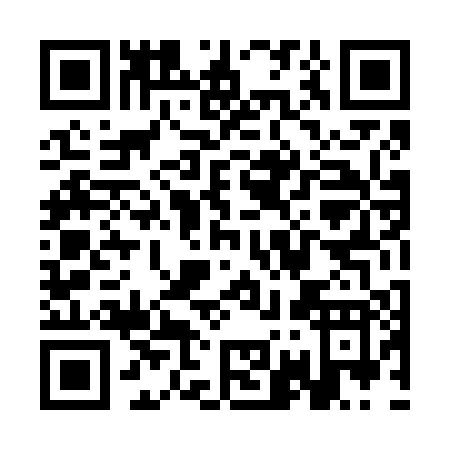 QR code for SO460