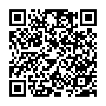 QR code for SS541