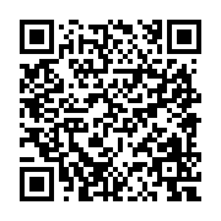 QR code for SS869