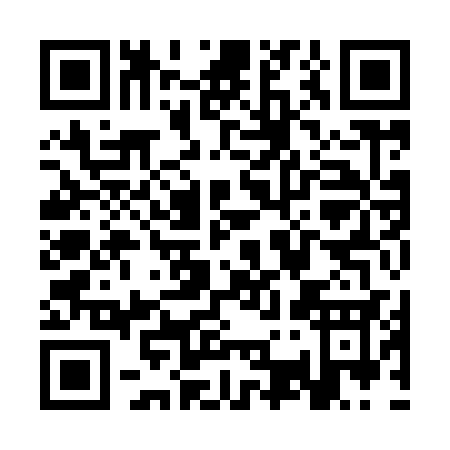 QR code for SS993