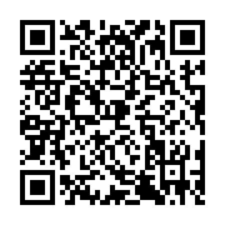 QR code for ST113