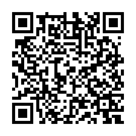 QR code for ST22