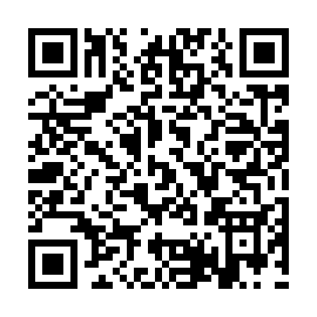 QR code for ST493