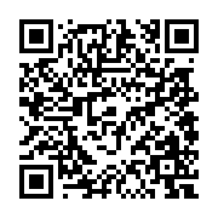 QR code for ST601