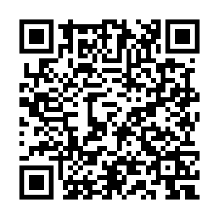 QR code for ST95