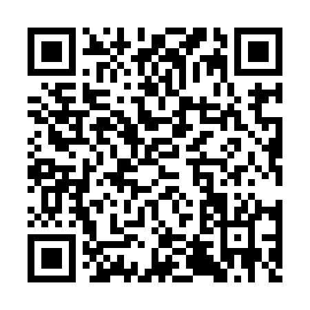 QR code for ST991