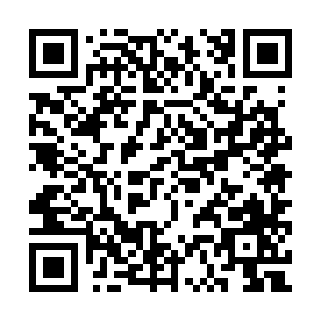 QR code for SV538