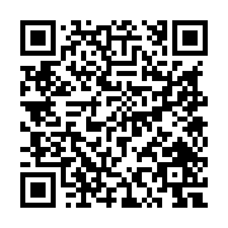 QR code for SX384
