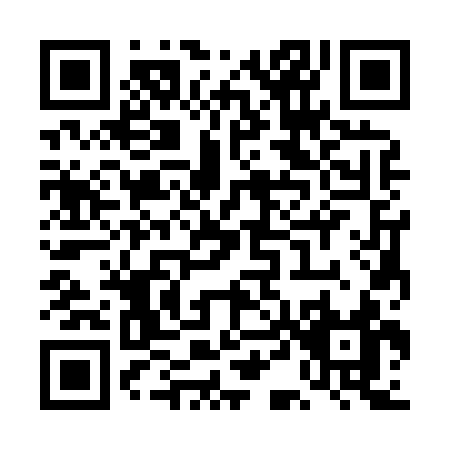 QR code for TD383