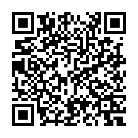 QR code for TI11