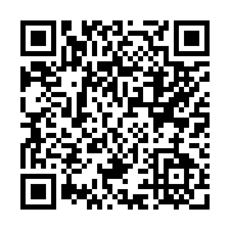 QR code for TI295