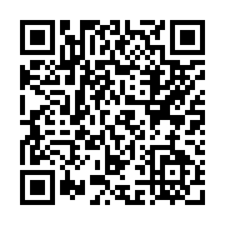 QR code for TL295