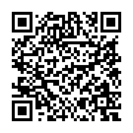 QR code for TM383