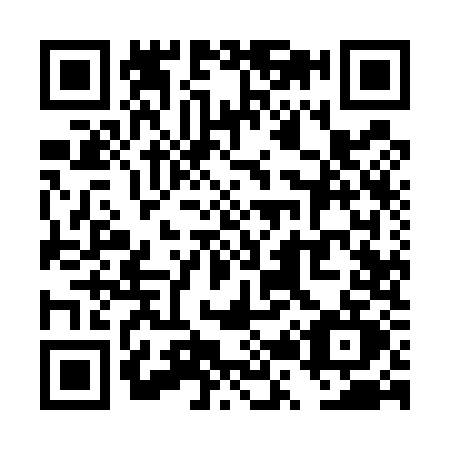 QR code for TR95