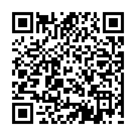 QR code for TT336