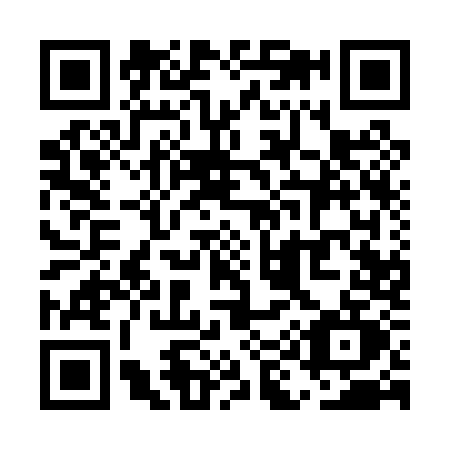 QR code for UI10