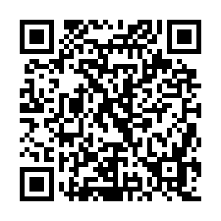 QR code for UI13