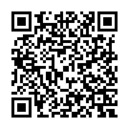 QR code for UI29