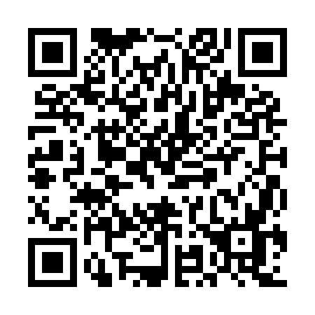 QR code for UM29