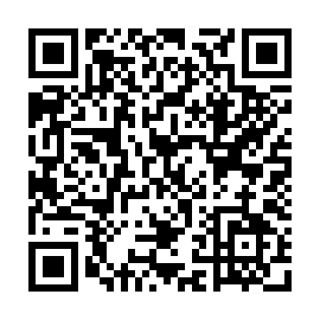 QR code for UN339