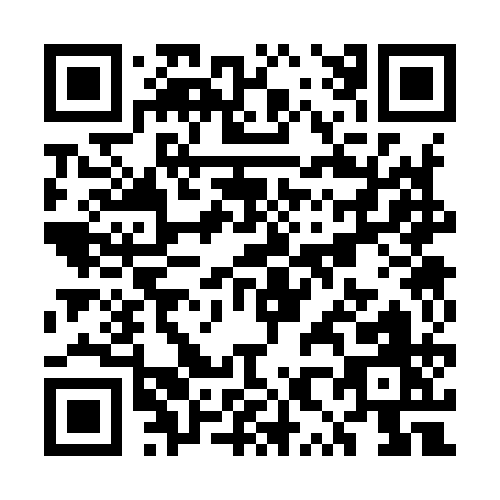 QR code for UX391
