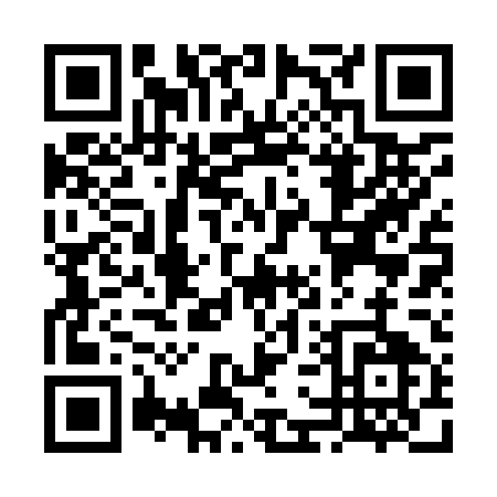 QR code for VG295