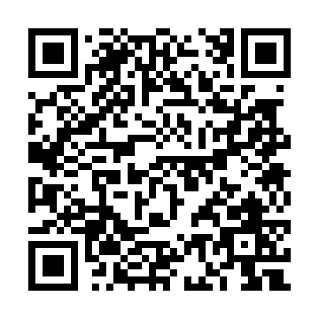 QR code for VG307