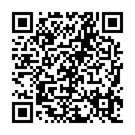 QR code for VG913