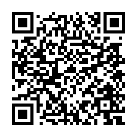QR code for VI305