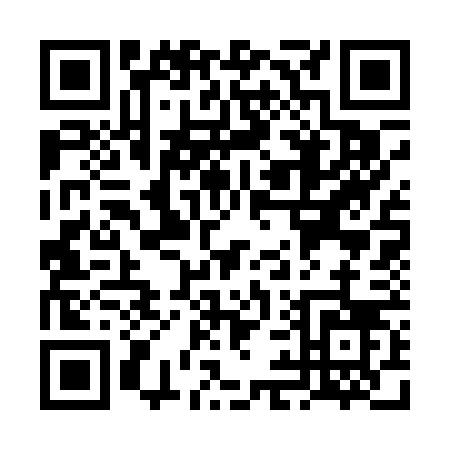 QR code for VI306