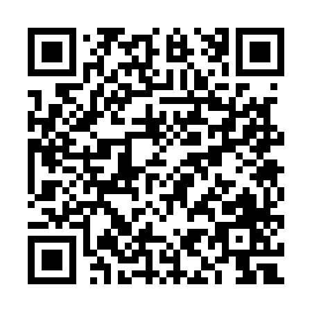 QR code for VI318
