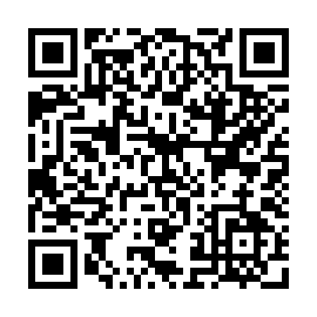 QR code for VJ339