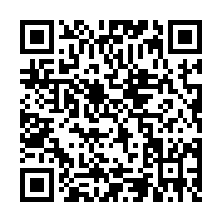 QR code for VJ519