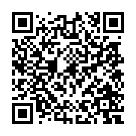 QR code for VL300
