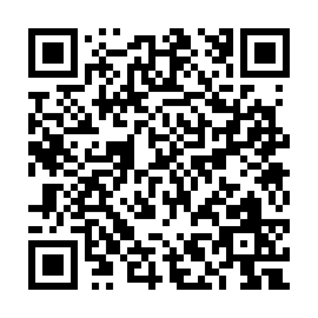 QR code for VL333