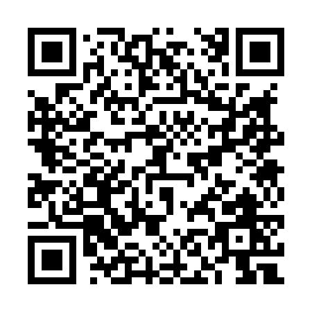 QR code for VN387